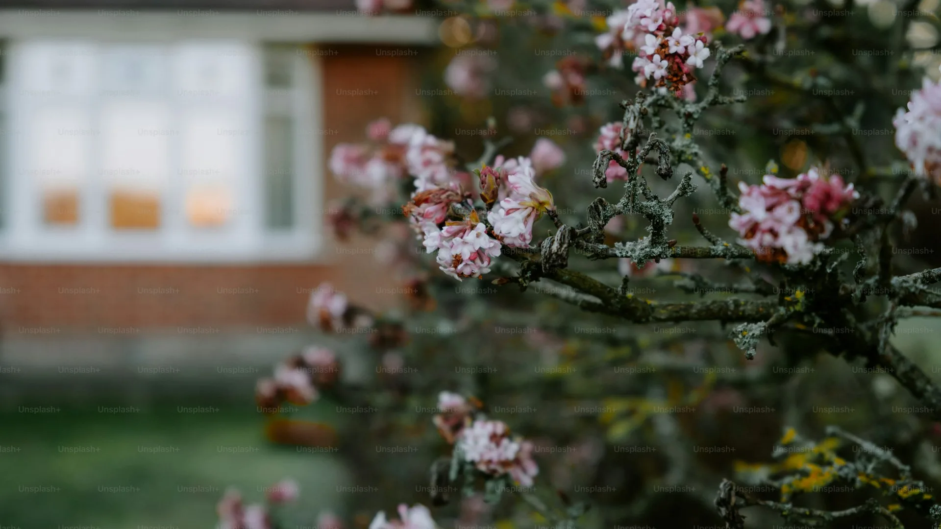 Should I sell my Wellesley home in spring 2026?